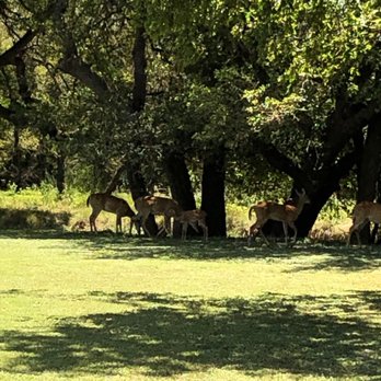 Settlers Crossing - Hotels Near Me - Fredericksburg, Texas