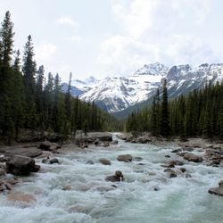 Great Divide Nature Interpretation