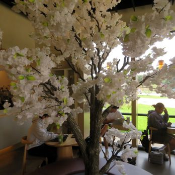 Fresso Coffee & Tea - Coffee & Tea Near Me - Missouri City, Texas Fresso Coffee & Tea - Coffee & Tea Near Me - Missouri City, Texas