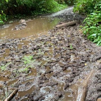 Shi Shi Beach - Mud - Parks Near Me - Neah Bay, Washington