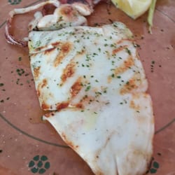 Concepita