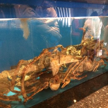 Lee Garden Seafood Restaurant - Crabs - Dim Sum Near Me - Burnaby, British Columbia Lee Garden Seafood Restaurant - Crabs - Dim Sum Near Me - Burnaby, British Columbia