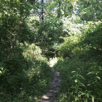 Strawberry Creek Nature Area - Hiking Near Me - Arnold, Missouri