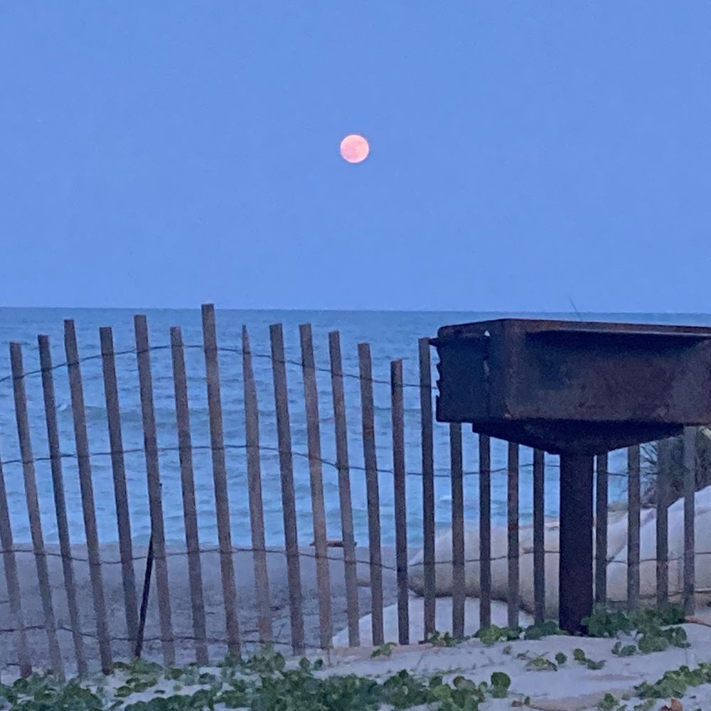 Havana's - the moon setting over the ocean - Seafood Near Me - Carolina Beach, North Carolina Havana's - the moon setting over the ocean - Seafood Near Me - Carolina Beach, North Carolina