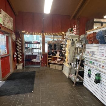 Camano Scoopz - the inside of a store - Ice Cream & Frozen Yogurt Near Me - Camano Island, Washington Camano Scoopz - the inside of a store - Ice Cream & Frozen Yogurt Near Me - Camano Island, Washington