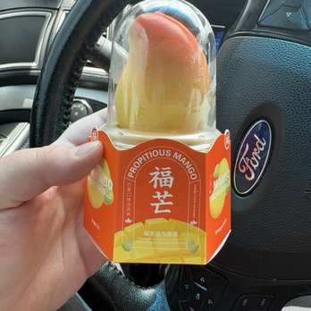 Ebisu Orlando - Mango ice cream - International Grocery Near Me - Orlando, Florida