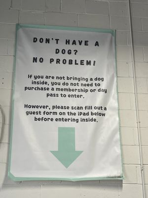 Snouts & Stouts - Dog Bar by null