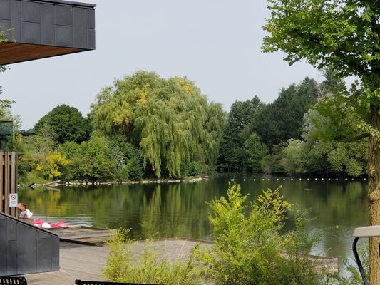 Chinguacousy Park by null