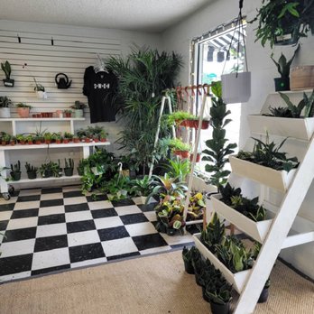 Famous In Oregon - Nurseries & Gardening Near Me - Prosper, Texas