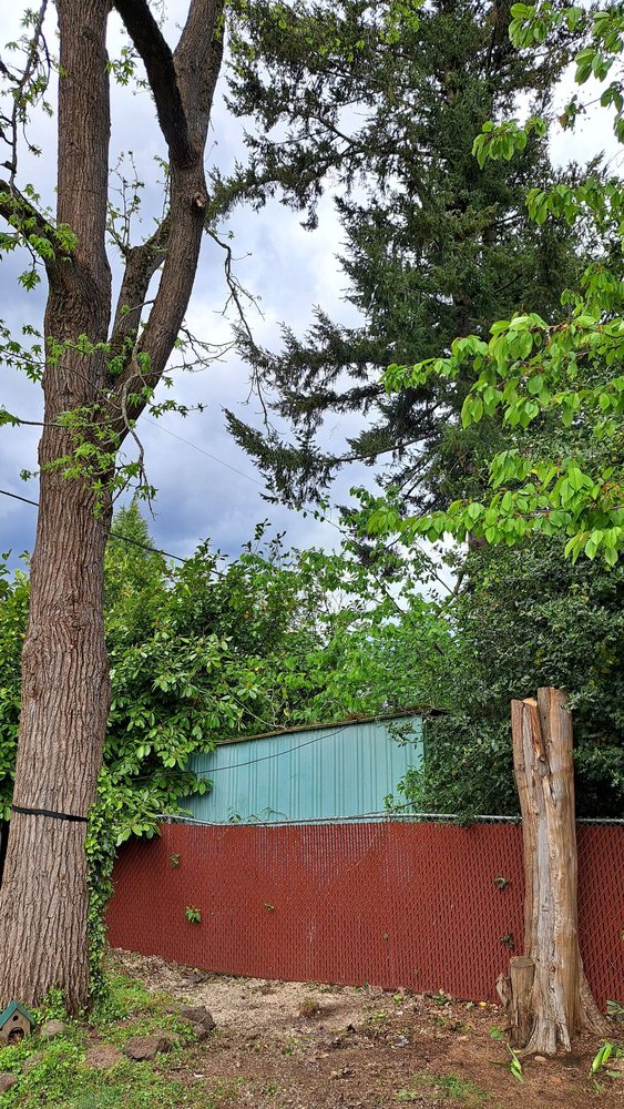 Monkeyman's Tree Service - tree service in Lake Oswego, OR