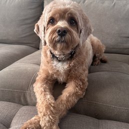 Murphy after his cut