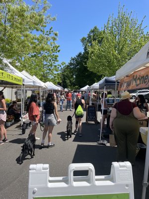 Sellwood Moreland Farmers Market by null