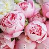 Old City Flowers gift card