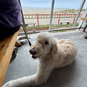Mo's Seafood & Chowder - Dogs friendly outside patio - Seafood Near Me - Seaside, Oregon Mo's Seafood & Chowder - Dogs friendly outside patio - Seafood Near Me - Seaside, Oregon