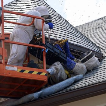 Rise Pest Management - Pest Control Near Me Rise Pest Management - Pest Control Near Me
