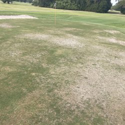 Orangebrook Country Club - The green on the east course hole #16