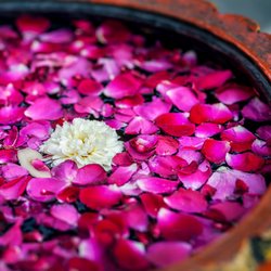 Mangala Massage - Mangala- Mobile Massage Mallorca