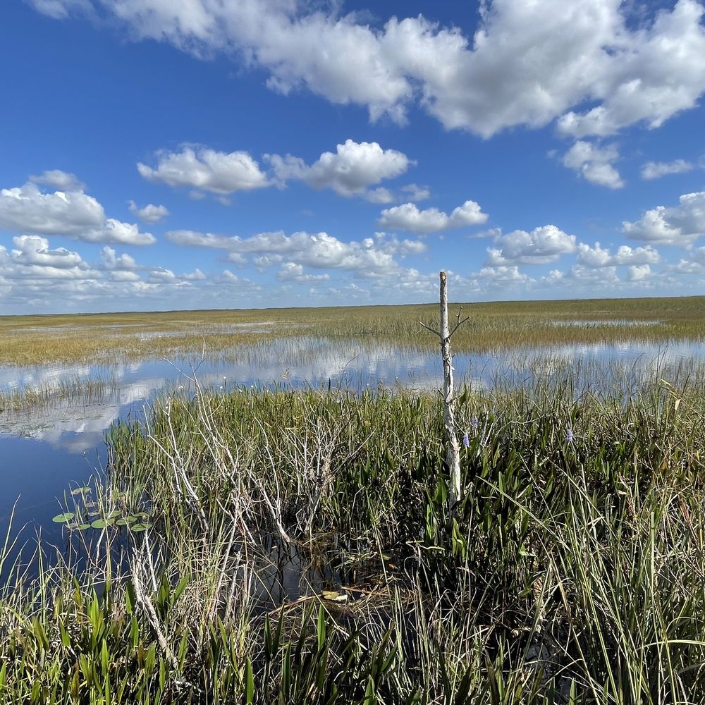 Everglades Airboat Expeditions - Boat Tours Near Me Everglades Airboat Expeditions - Boat Tours Near Me