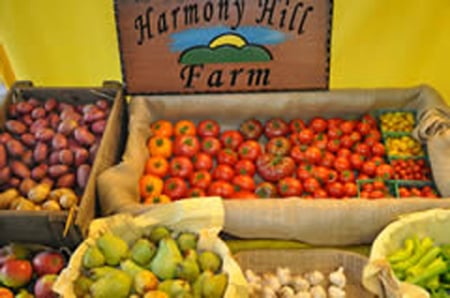 Harmony Hills Organic Farm Logo