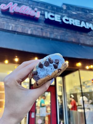 Nellie's Ice Cream by null