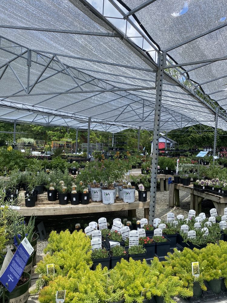 NEW GARDEN LANDSCAPING & NURSERY Updated August 2024 25 Photos & 14