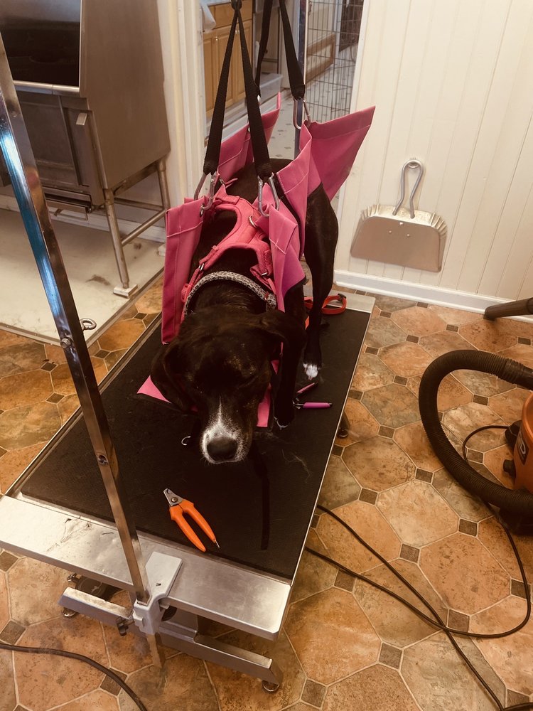 HICKORY SPRINGS PET FARM Updated September 2024 20 Photos & 29 Reviews 1095 Pike Springs