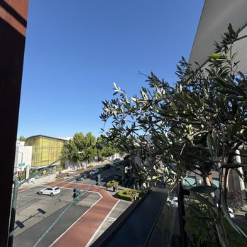 Rooftop - View - New American Near Me - Walnut Creek, California