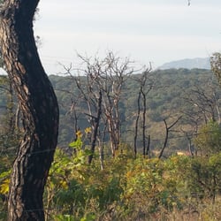 Bosque la Primavera