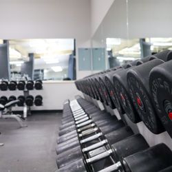 Gold's Gym