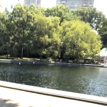 Central Park Conservancy - Parks Near Me - New York, New York