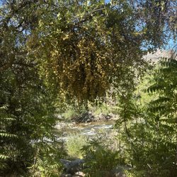 Camp Three Campground - River behind campground
