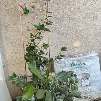 Yard Techs - Gardeners Near Me