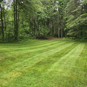 Moynihan Property Services - Landscaping Near Me Moynihan Property Services - Landscaping Near Me