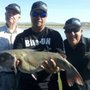 Photo of Bite-ON Fishing attractants