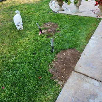 CaliCo Pest Solutions - Eric installed traps underground. - Pest Control Near Me CaliCo Pest Solutions - Eric installed traps underground. - Pest Control Near Me