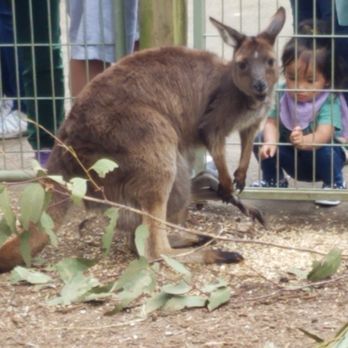 Featherdale Wildlife Park - Parks Near Me - Doonside, NSW Featherdale Wildlife Park - Parks Near Me - Doonside, NSW
