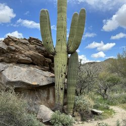 Wild Burro Trailhead