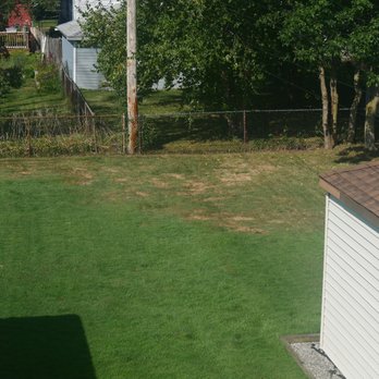 Buffalo Lawn & Pest Services - It's worse than this - Irrigation Near Me - Buffalo, New York Buffalo Lawn & Pest Services - It's worse than this - Irrigation Near Me - Buffalo, New York