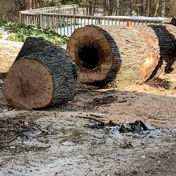 Rayal Tree Care Co - Gardeners Near Me - Yorktown Heights, New York Rayal Tree Care Co - Gardeners Near Me - Yorktown Heights, New York