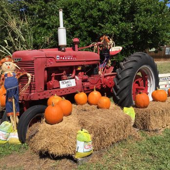 Long & Scott Farms - Neat Red Tractor - Farmers Market Near Me - Mount Dora, Florida Long & Scott Farms - Neat Red Tractor - Farmers Market Near Me - Mount Dora, Florida