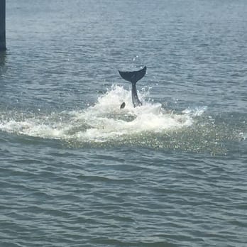 Wildside Tours - Boating Near Me - Cocoa Beach, Florida