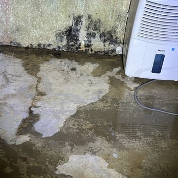 Mr. Mold - Water damage and mold growing in basement - Environmental Abatement Near Me - Highland, Michigan