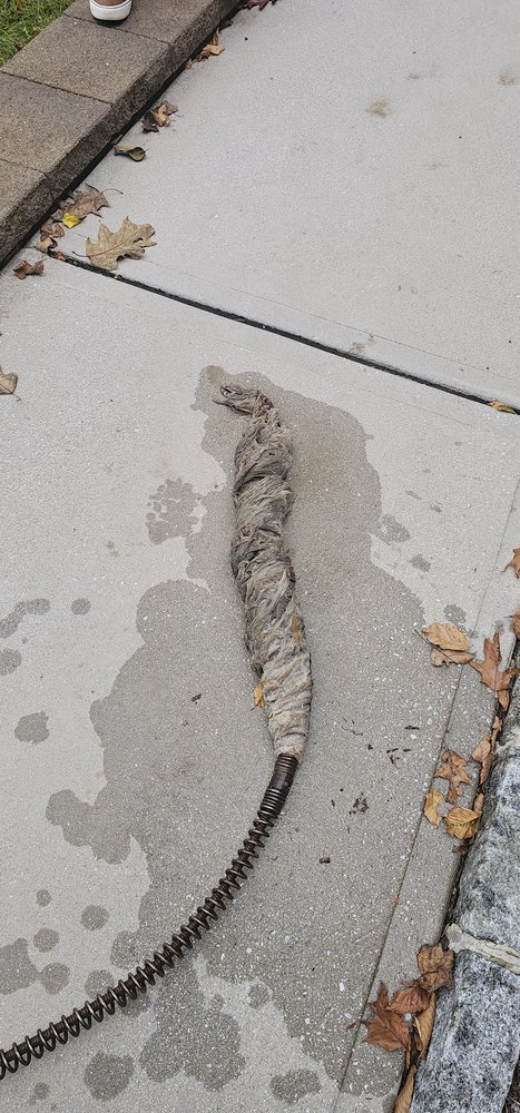 Slide of King of drains and sewers