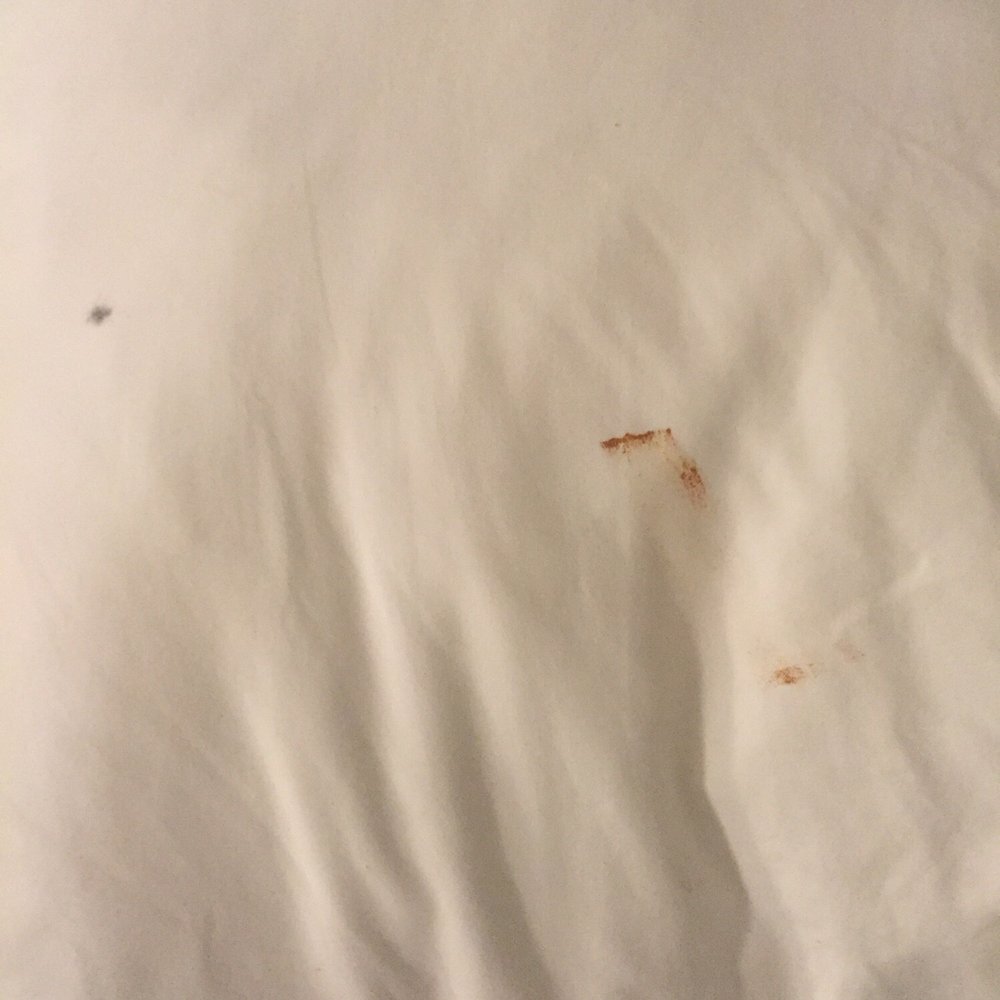 Block Party Hotels - Not my makeup. Was on the pillow when I got there. - Hotels Near Me - Dewey Beach, Delaware