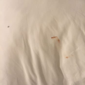 Beach House Dewey - Not my makeup. Was on the pillow when I got there. - Hotels Near Me - Dewey Beach, Delaware