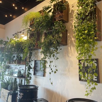 Leafy - Interior - Asian Fusion Near Me - Pembroke Pines, Florida Leafy - Interior - Asian Fusion Near Me - Pembroke Pines, Florida
