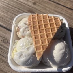 The Study 4 scoops The Study 4 scoops