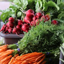 Foothills Farmers Market