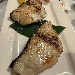 Black Cod Black Cod