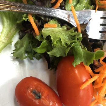 Square Root - Side salad complete with moldy tomato - American Near Me - Brevard, North Carolina
